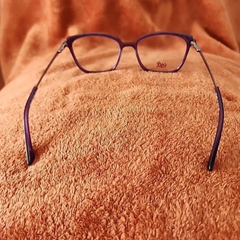 CELINE EYEWEAR Triomphe oval-frame acetate sunglasses NWT - Picture 3 of 3